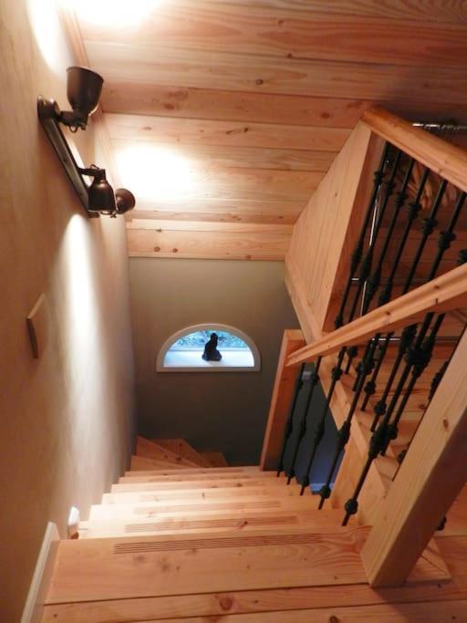 Tiny House Tholen别墅 外观 照片